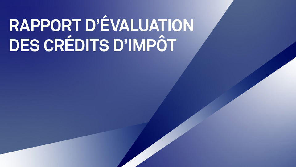 Vignettes---Rapport-Evaluation-CI