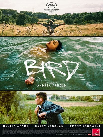 Affiche de Bird réalisé par Andrea Arnold