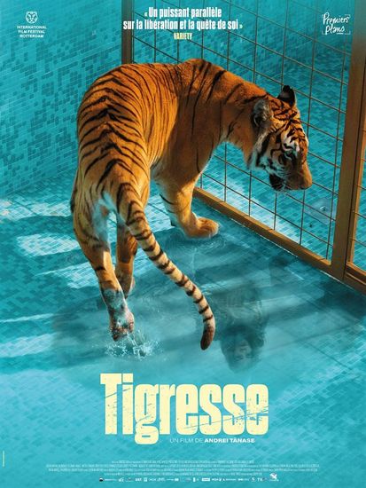 Affiche de Tigresse de Andrei Tanase