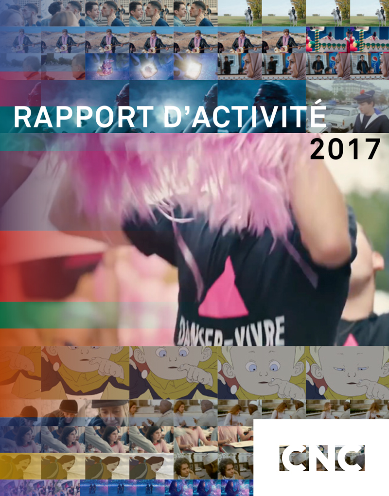 Rapport d'activité 2017